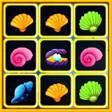 Seashell Blocky Challenge